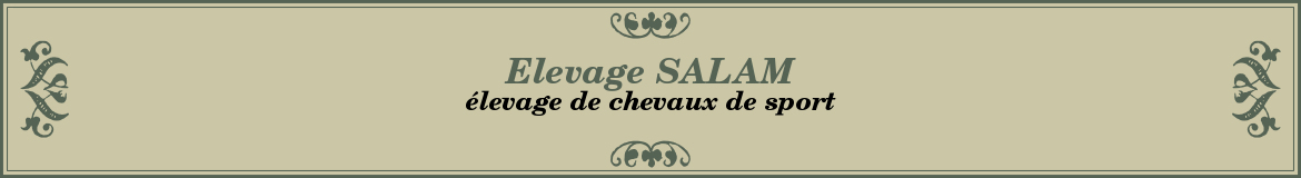 Elevage SALAM